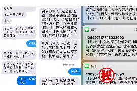 盘龙讨债公司